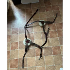 Collier de chasse Lexington