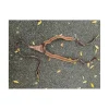 collier de chasse marron horka