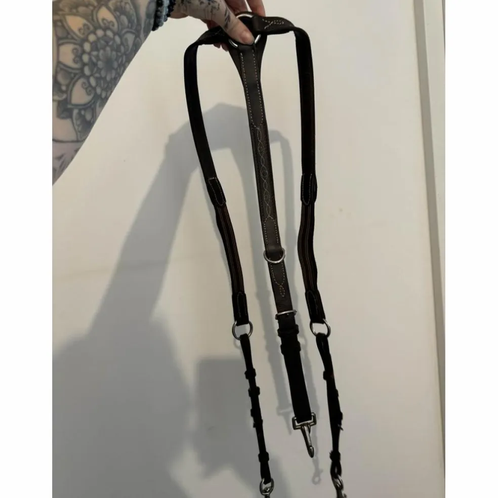collier de chasse marron ps