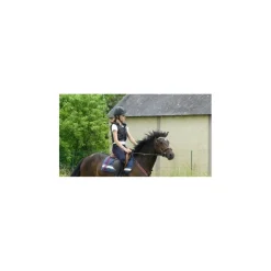 Collier de chasse martingale
