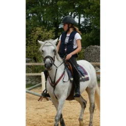 Collier de chasse martingale