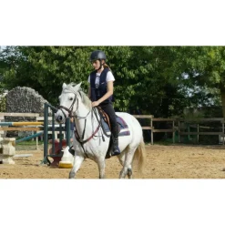 Collier de chasse martingale