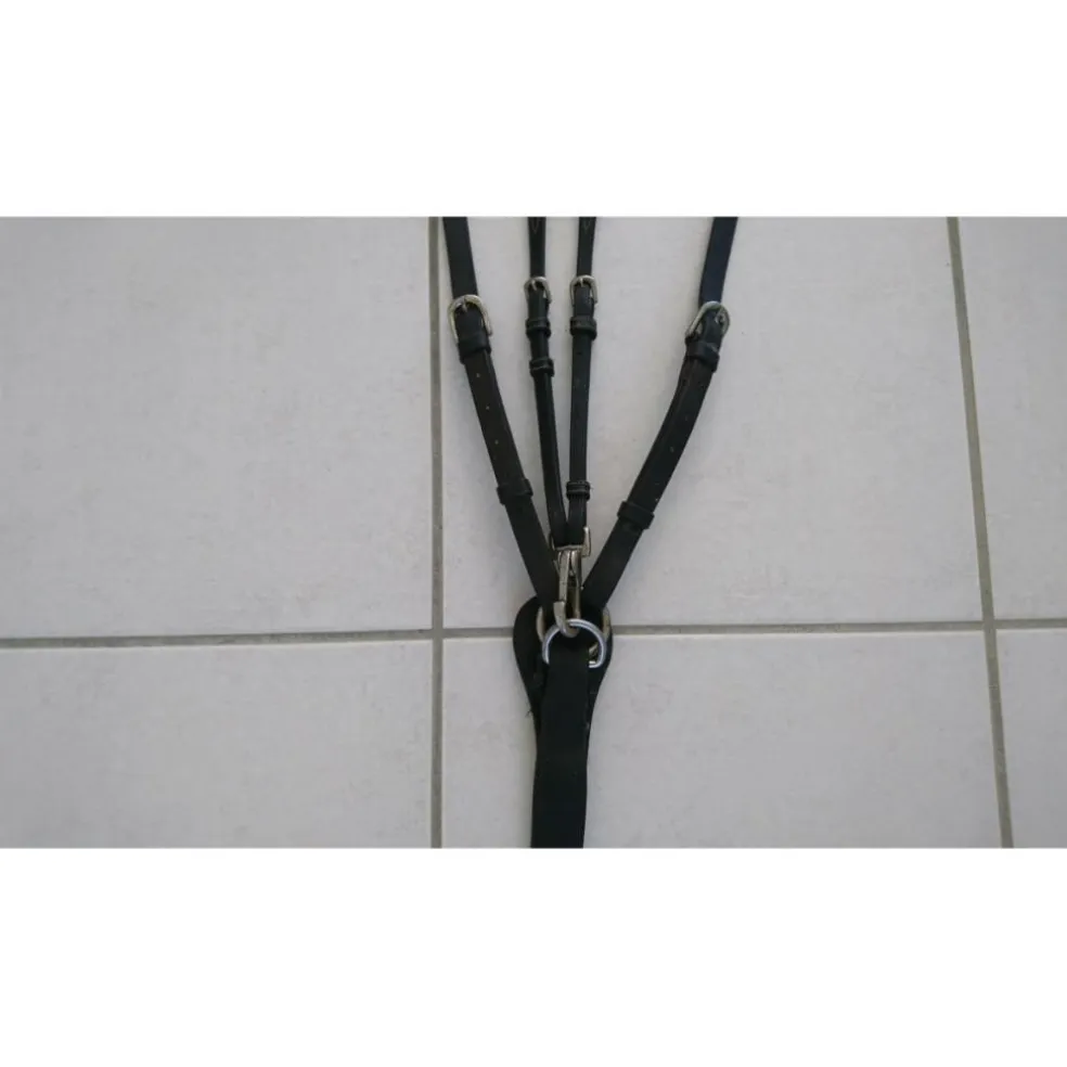 collier de chasse martingale