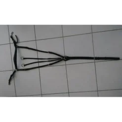 collier de chasse martingale