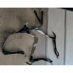 Collier de chasse martingale