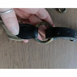 Collier de chasse martingale