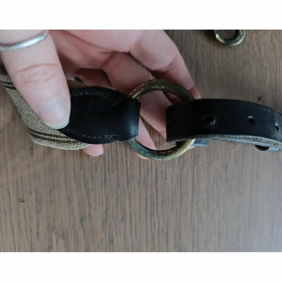 Collier de chasse martingale