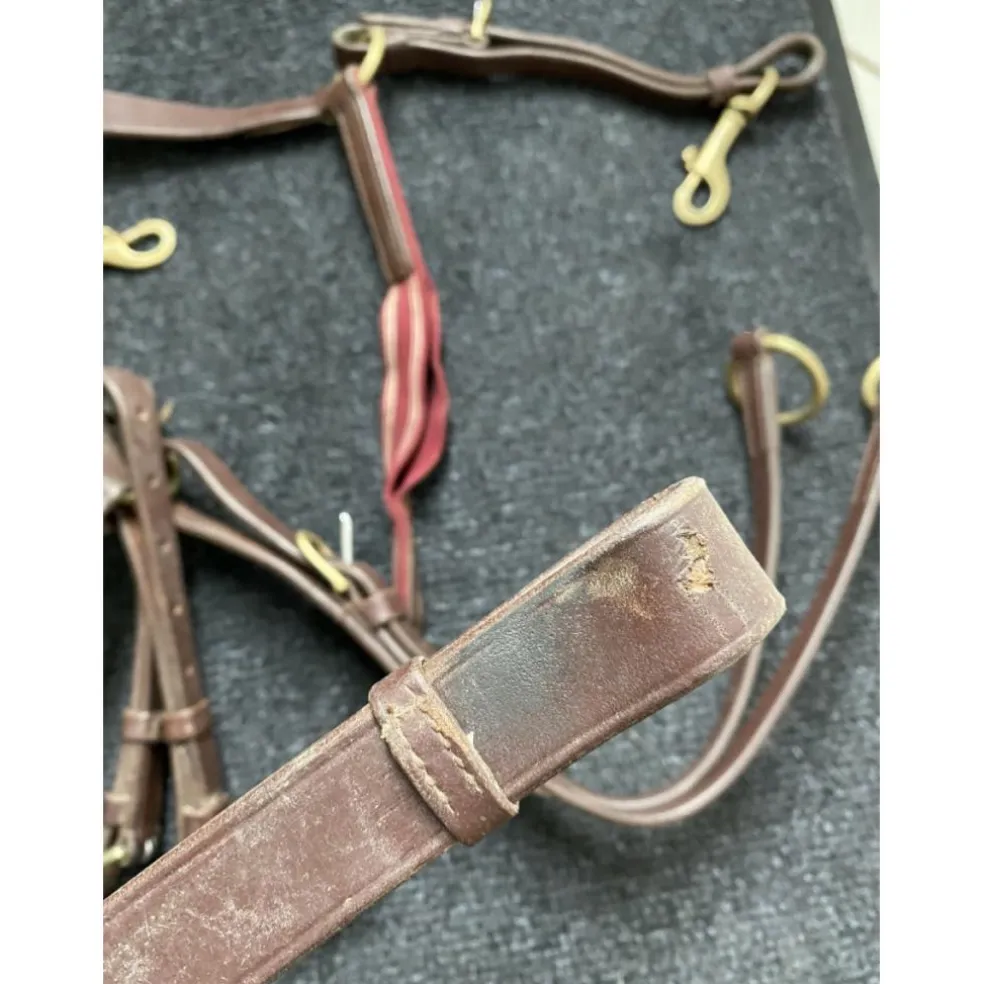 Collier de chasse martingale