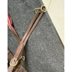 Collier de chasse martingale