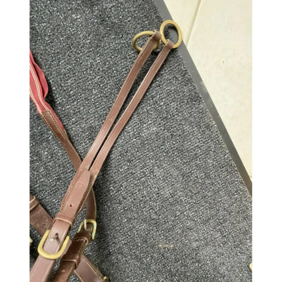 Collier de chasse martingale