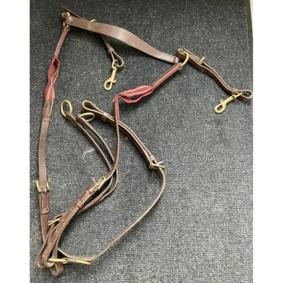 Collier de chasse martingale