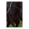 Collier de chasse martinguale
