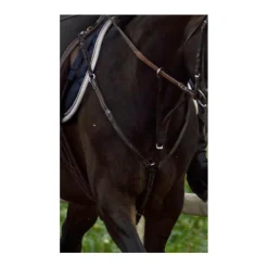 Collier de chasse martinguale
