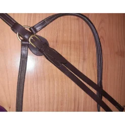 Collier de chasse martingale