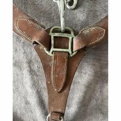 collier de chasse martingale