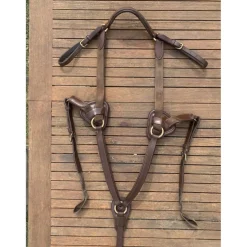 Collier de chasse martingale Time rider