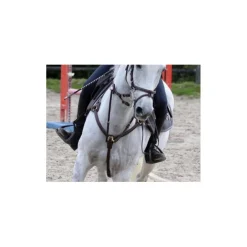 Collier de chasse martingale Time rider