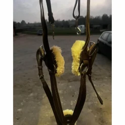 collier de chasse martingale 5 point