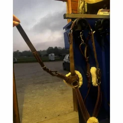 collier de chasse martingale 5 point