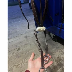 collier de chasse martingale 5 point