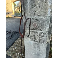 Collier de chasse martingale Butet