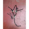 collier de chasse +martingale LJ