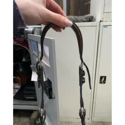 Collier de chasse martingale Antarès