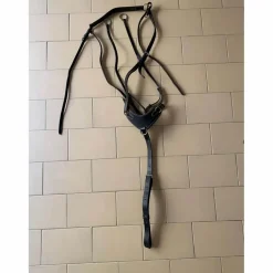 Collier de chasse noir