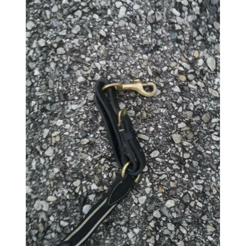 Collier de chasse noir et beige