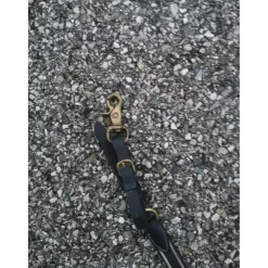 Collier de chasse noir et beige