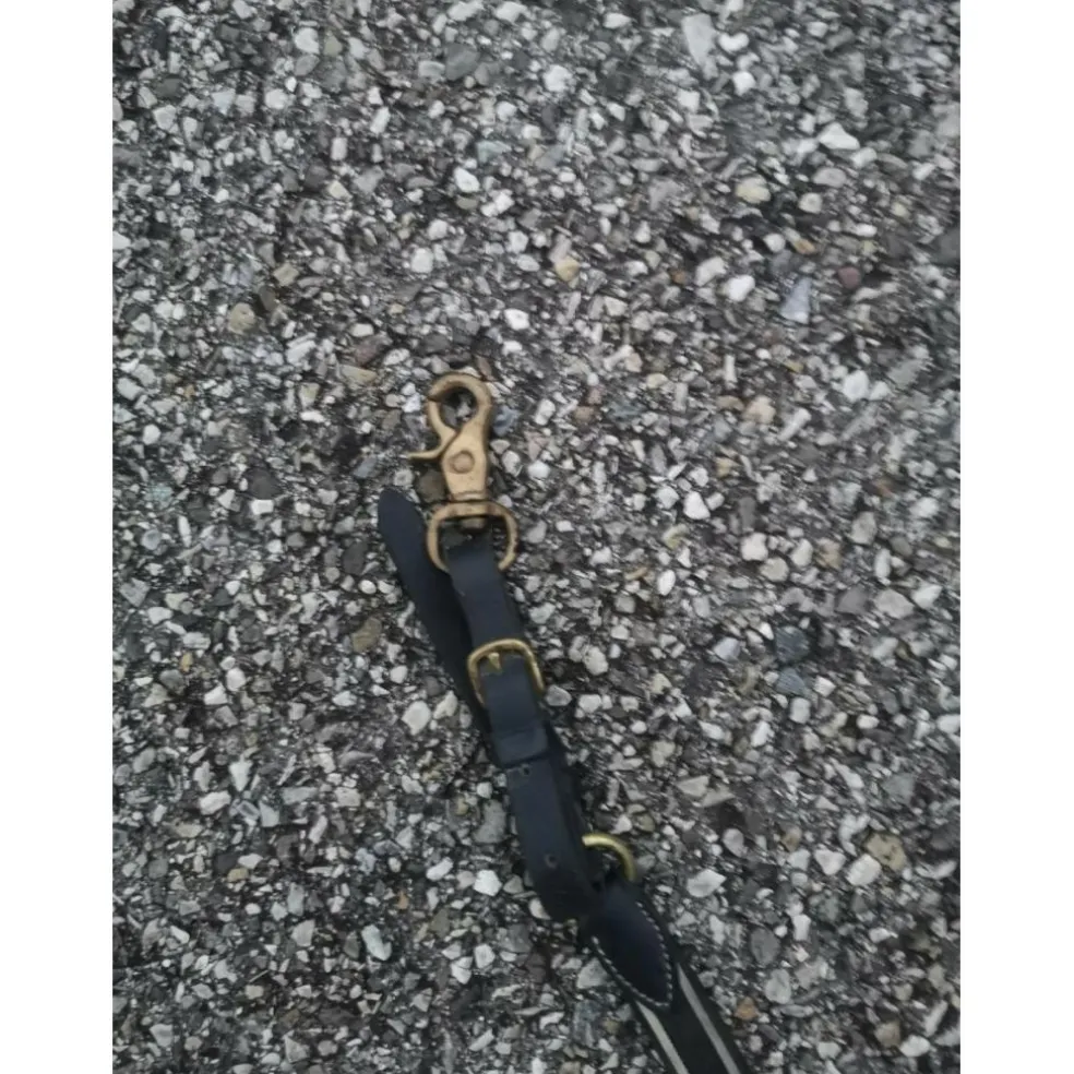 Collier de chasse noir et beige