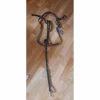Collier de chasse noir kramer