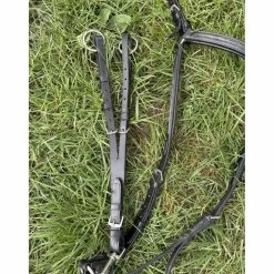 collier de chasse Norton