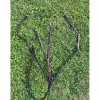 collier de chasse plat + martingale GUIBERT