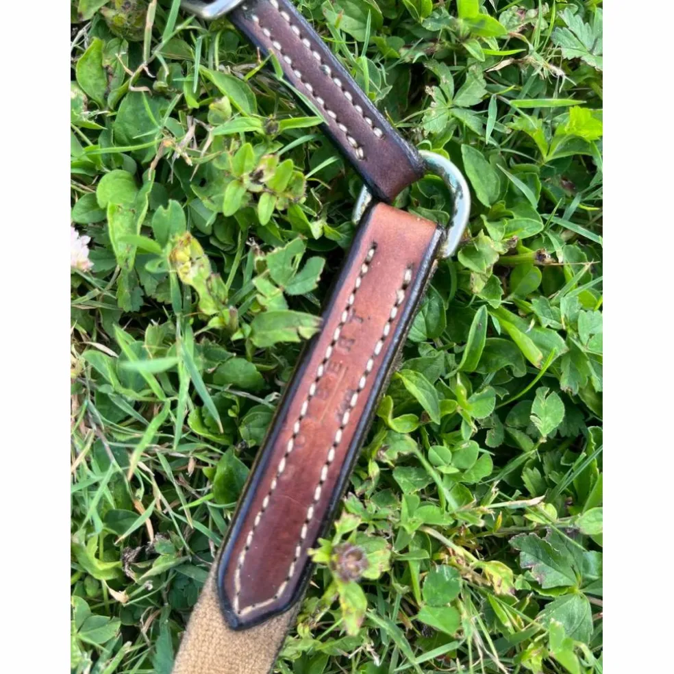 collier de chasse plat + martingale GUIBERT