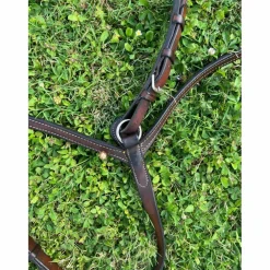 collier de chasse plat + martingale GUIBERT