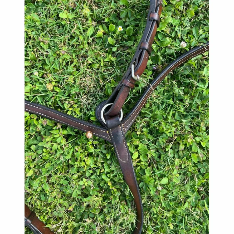 collier de chasse plat + martingale GUIBERT