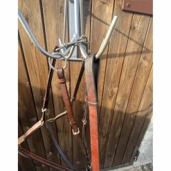 collier de chasse plat + martingale GUIBERT