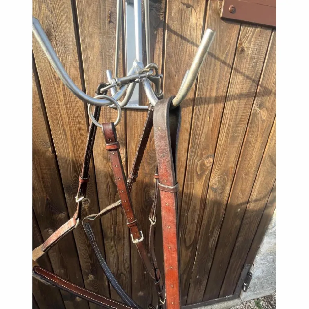 collier de chasse plat + martingale GUIBERT