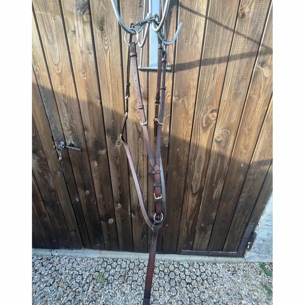 collier de chasse plat + martingale GUIBERT