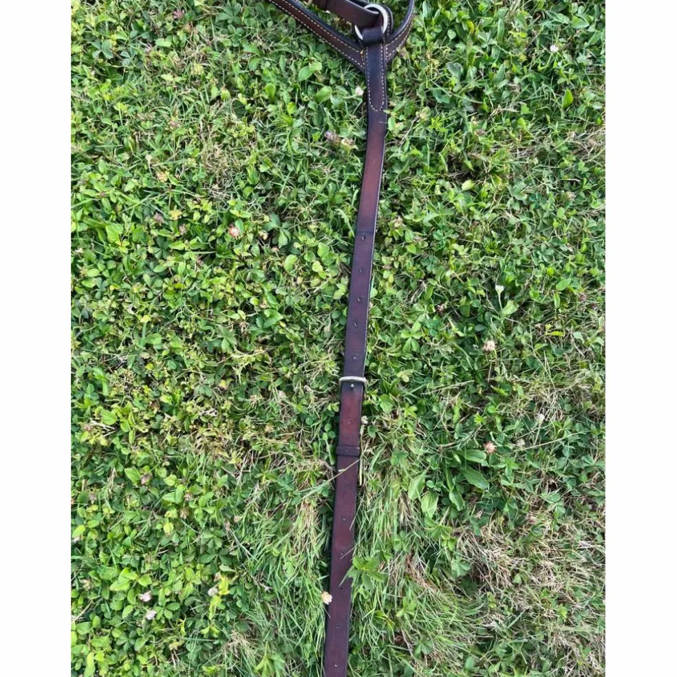 collier de chasse plat + martingale GUIBERT
