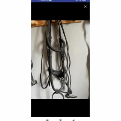 Collier de chasse poney