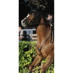 Collier de chasse privilège équitation