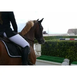 Collier de chasse privilège équitation
