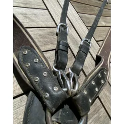 collier de chasse pro tanner
