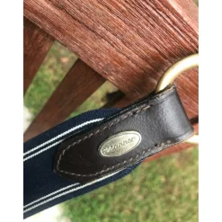 Collier de chasse Protanner