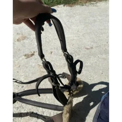 Collier de chasse équipe