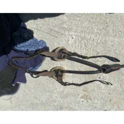 Collier de chasse équipe