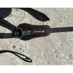 Collier de chasse équipe