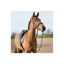Collier de chasse réglable